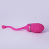 UM-LY007 RC Kegel Egg