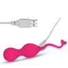 UM-LY006 RC Kegel Ball